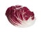 Contrast Radicchio salad from side on white background.