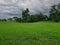 Contrasting Beauty: Lush Green Landscape under Overcast Rainy Sky