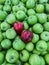 Contrasting Harmony: Two Red Apples Amidst a Dozen Green Apples