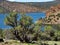 Contrasting Prineville Reservoir