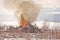 Controlled Burn on a Farm Property where Forest has been Cut Down to make more Arable Farmland