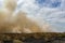 Controlled Bushfire in Kakadu National Park, with diffrent birds, Northern Territory, Australia