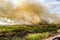Controlled Bushfire in Kakadu National Park, with diffrent birds, Northern Territory, Australia