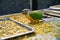 Conures - a variety of weakly expressed by a group of parrots of small and medium size. They belong to several genera in the long-