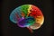 conventional image of human brain with multi-colored convolons and vessels