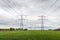 Converging high voltage cables and steel pylons in an agricultural landscape
