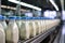 Conveyor for bottling milk into bottles at a modern dairy plant. Line for bottling and packaging of dairy products. Industrial