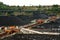 Conveyor in the stockpile of a coal mining