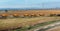 Convoy of Orange Tank trucks on a Highway Road