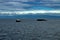 Convoy of tugboat and barge in Strait of Georgia