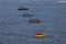 Conwy England`s Anchored Boats