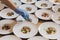 Cook adding ingredients on a dish filled in white serving plates in a restaurant