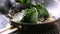 The cook adds spinach to the fried onion in the pan