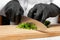 A cook in black gloves is cutting parsley