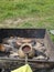 Cook coffee on the coals in nature