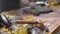 Cook cutting herbs on wooden board at kitchen table. Chef preparing vegetarian food on restaurant kitchen. Process