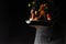 Cook preparing bacon slices with garlic and hot pepper and broccoli in a pan, freezing in the air, on a black background, recipe