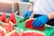 Cook in rubber gloves peeling and slicing gresh tasty juicy sliced watermelon for hotel guests at tropical resort outdoors