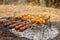 Cook shashlik barbecue outdoors in the autumn forest. Bonfire in the woods