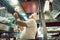 Cook tossing dough while preparing pizza in a modern Italian restaurant