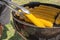 Cook uses tongs to turn ears of corn on an outdoor grill. BBQ outdoors