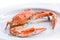 Cooked blue crab on isolated white