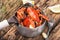 Cooked crayfish in metal pan
