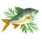 Cooked fish with dill, vector icon food