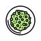 cooked peas dish color icon vector illustration
