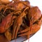 Cooked red crayfish in a plate on a white background. European beer delicacy of the arthropod family on a white background