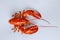 Cooked red large lobster isolated on a white background