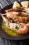 Cooked scampi or langoustine close-up on a plate with sauce and