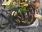 Cooked seafood steamed clams mussels in the iron pan portion with lemon and seasoning