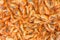 Cooked shrimps food background, top view