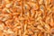 Cooked shrimps food background, top view