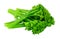 Cooked tenderstem broccoli