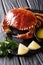 Cooked whole brown edible crab served with sauce, lemon and pars