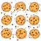 Cookies with chocolate chips set. Vector illustration
