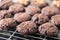 Cookies chocolate fresh from the oven on a wire rack steel.