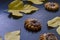 Cookies with jam and autumn leaves on solid black background