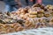 Cookies at Mahane Yehuda Market