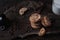 Cookies, pieces of chocolate and coffe beans over a wooden board