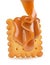 Cookies poured with caramel sauce. Vector