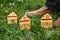 Cookies in shape of small house stand on green grass