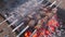 cooking barbecue on charcoal outside, juicy meat, fire extinguished with water from a bottle, a large barbecue and