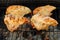 Cooking barbecue chicken breast