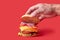 Cooking a big Burger. Hand rests half a bun on a large Burger. Red background.