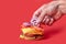 Cooking a big Burger. Hand rests red onion rings on the Burger. Red background.