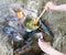 Cooking on campfire at picnic, food prepared in pot on wood, potatoes and tomatoes, healthy vegetarian food, woman hands with