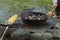 Cooking Chestnuts and Corncobs on the Fire